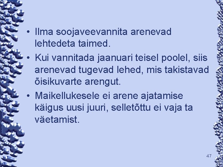  • Ilma soojaveevannita arenevad lehtedeta taimed. • Kui vannitada jaanuari teisel poolel, siis