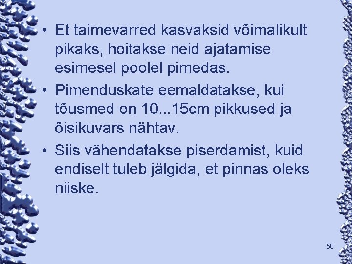  • Et taimevarred kasvaksid võimalikult pikaks, hoitakse neid ajatamise esimesel poolel pimedas. •