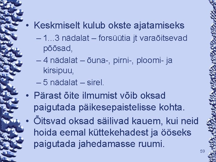  • Keskmiselt kulub okste ajatamiseks – 1. . . 3 nädalat – forsüütia