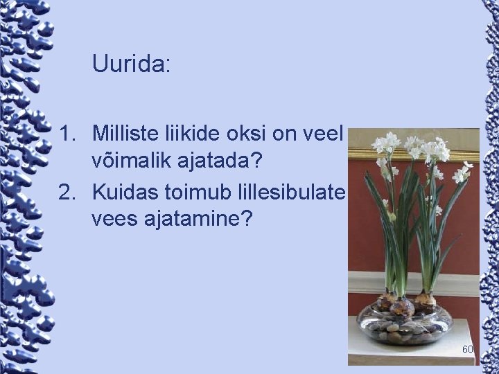 Uurida: 1. Milliste liikide oksi on veel võimalik ajatada? 2. Kuidas toimub lillesibulate vees