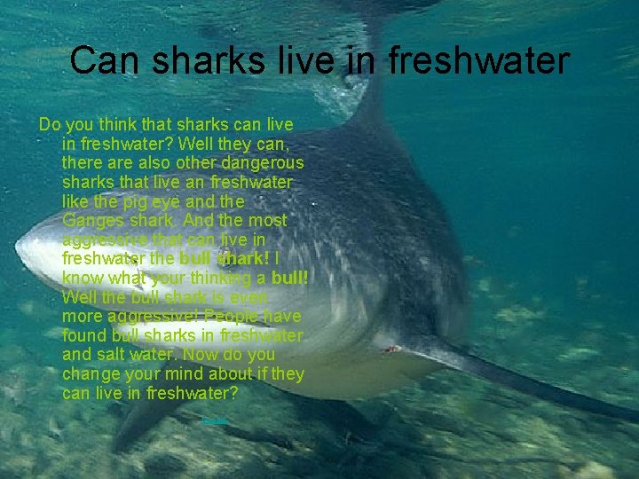 Can sharks live in freshwater Do you think that sharks can live in freshwater?