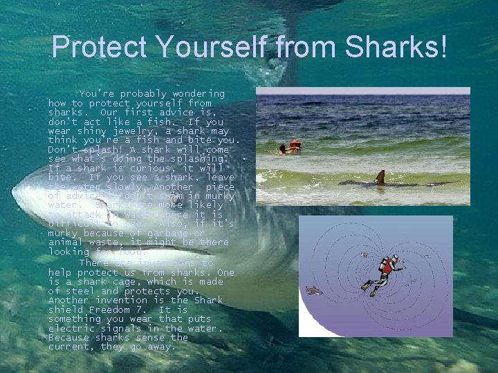 Protect Yourself from Sharks! You’re probably wondering how to protect yourself from sharks. Our
