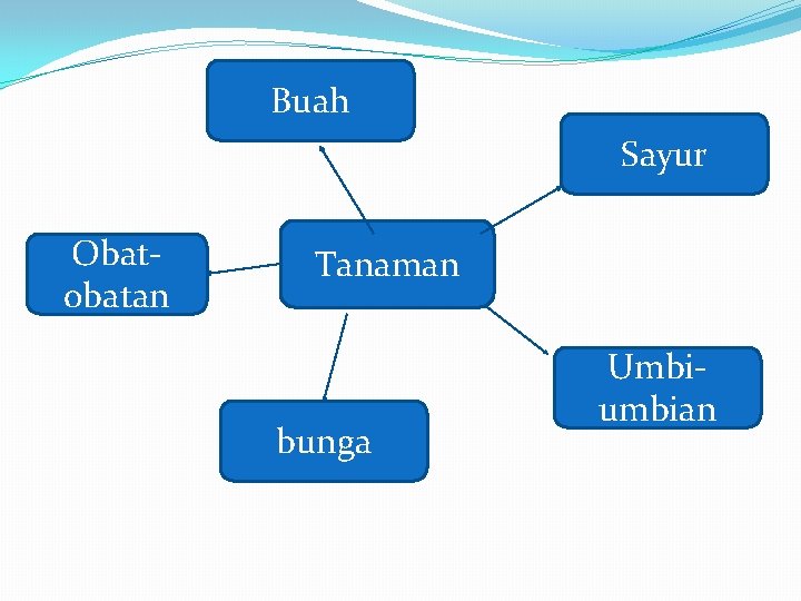 Buah Sayur Obatobatan Tanaman bunga Umbiumbian 