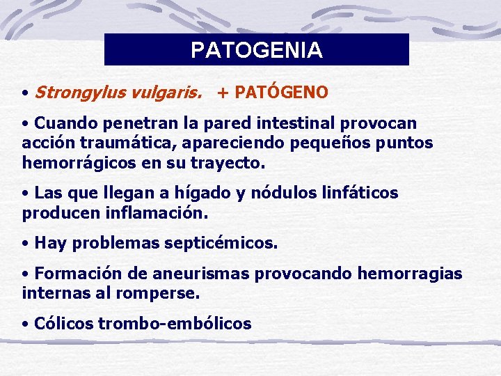 PATOGENIA • Strongylus vulgaris. + PATÓGENO • Cuando penetran la pared intestinal provocan acción