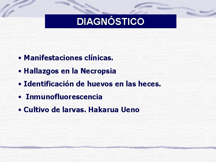 DIAGNÓSTICO • Manifestaciones clínicas. • Hallazgos en la Necropsia • Identificación de huevos en