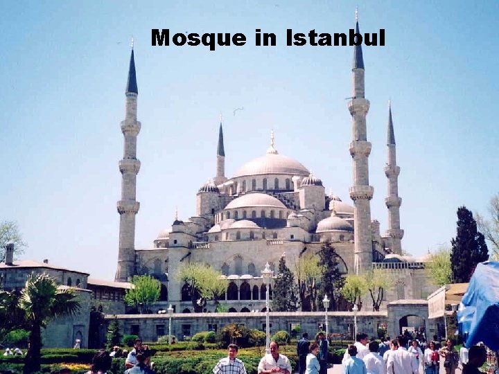 Mosque in Istanbul Mosque in Istanbul