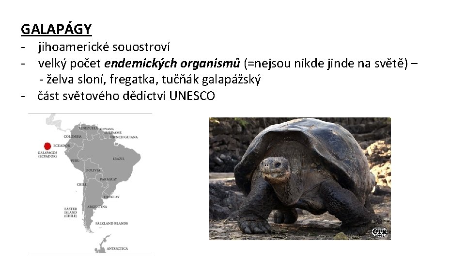 GALAPÁGY - jihoamerické souostroví - velký počet endemických organismů (=nejsou nikde jinde na světě)