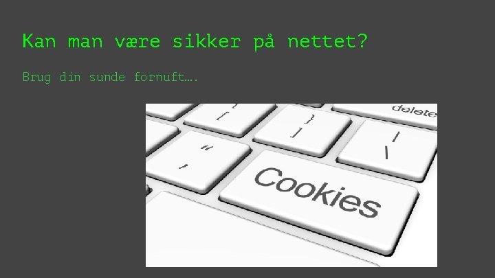 Kan man være sikker på nettet? Brug din sunde fornuft…. 