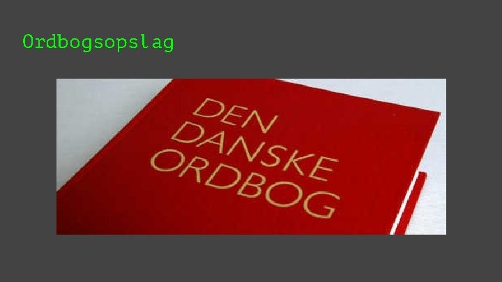 Ordbogsopslag 