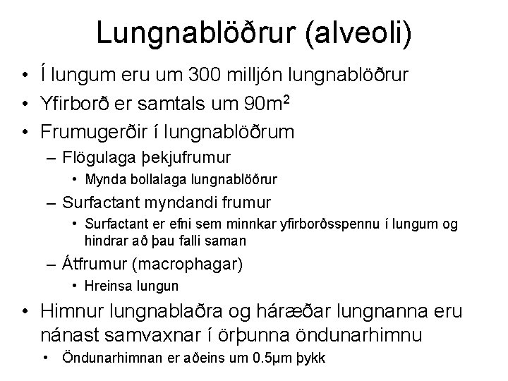 Lungnablöðrur (alveoli) • Í lungum eru um 300 milljón lungnablöðrur • Yfirborð er samtals