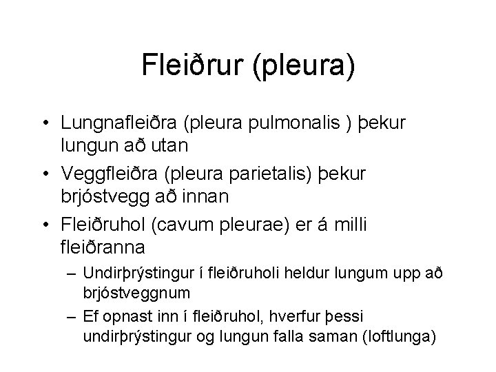 Fleiðrur (pleura) • Lungnafleiðra (pleura pulmonalis ) þekur lungun að utan • Veggfleiðra (pleura