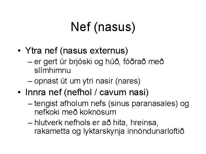 Nef (nasus) • Ytra nef (nasus externus) – er gert úr brjóski og húð,