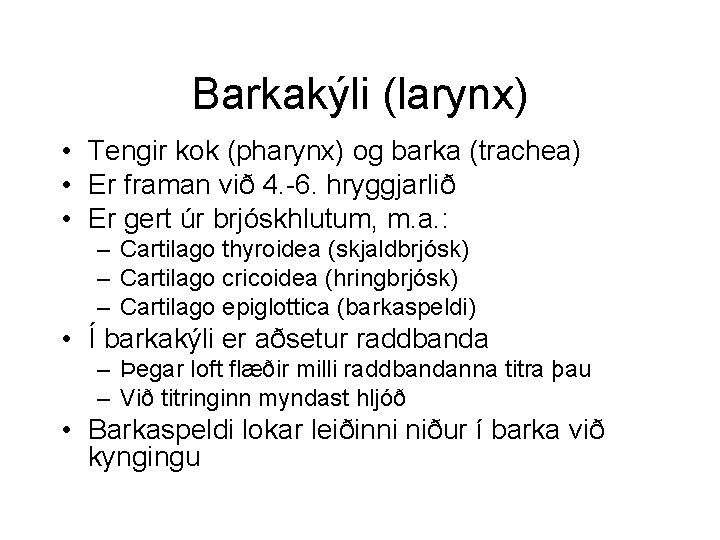 Barkakýli (larynx) • Tengir kok (pharynx) og barka (trachea) • Er framan við 4.