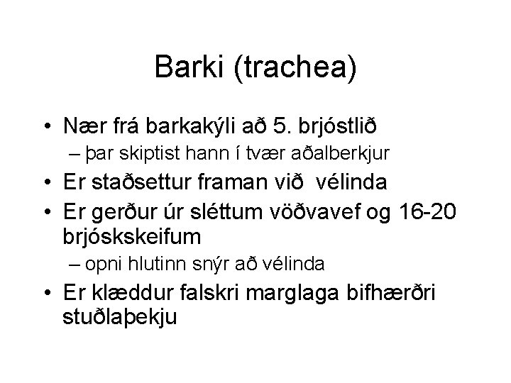 Barki (trachea) • Nær frá barkakýli að 5. brjóstlið – þar skiptist hann í