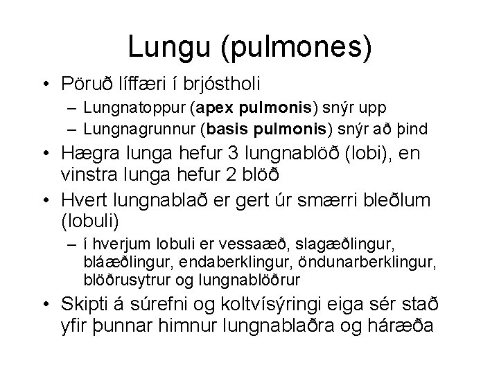 Lungu (pulmones) • Pöruð líffæri í brjóstholi – Lungnatoppur (apex pulmonis) snýr upp –