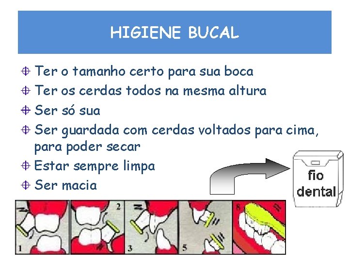 HIGIENE BUCAL Ter o tamanho certo para sua boca Ter os cerdas todos na