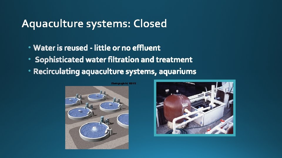 Aquaculture systems: Closed • • • Photograph by HBOI 