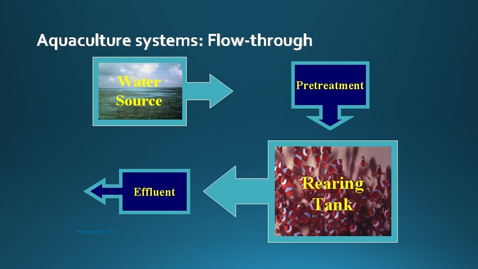 Aquaculture systems: Flow-through Water Source Effluent Photographs by HBOI Pretreatment Rearing Tank 