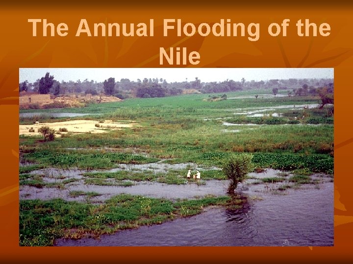 The Annual Flooding of the Nile 