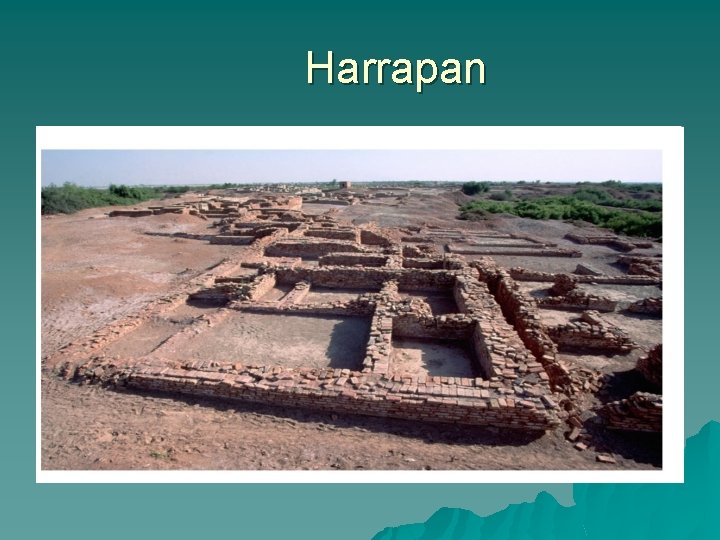 Harrapan 