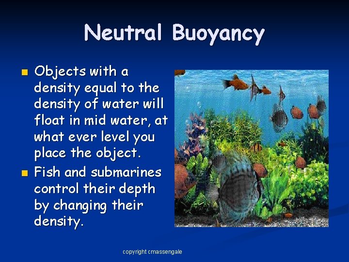 Neutral Buoyancy n n Objects with a density equal to the density of water