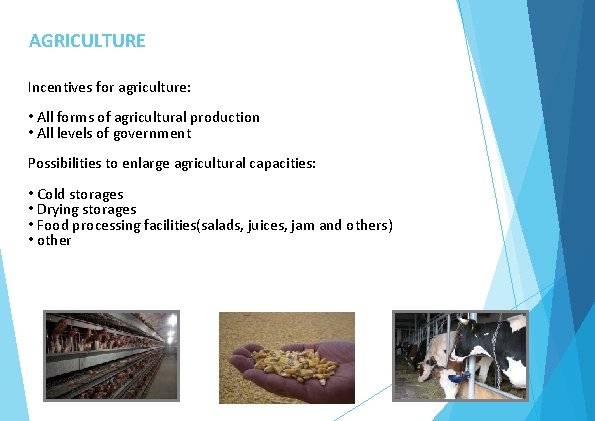 AGRICULTURE Incentives for agriculture: • All forms of agricultural production • All levels of