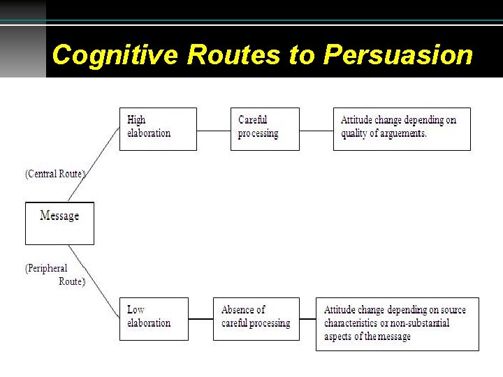 Cognitive Routes to Persuasion 