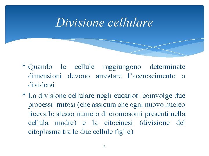 Divisione cellulare * Quando le cellule raggiungono determinate dimensioni devono arrestare l’accrescimento o dividersi
