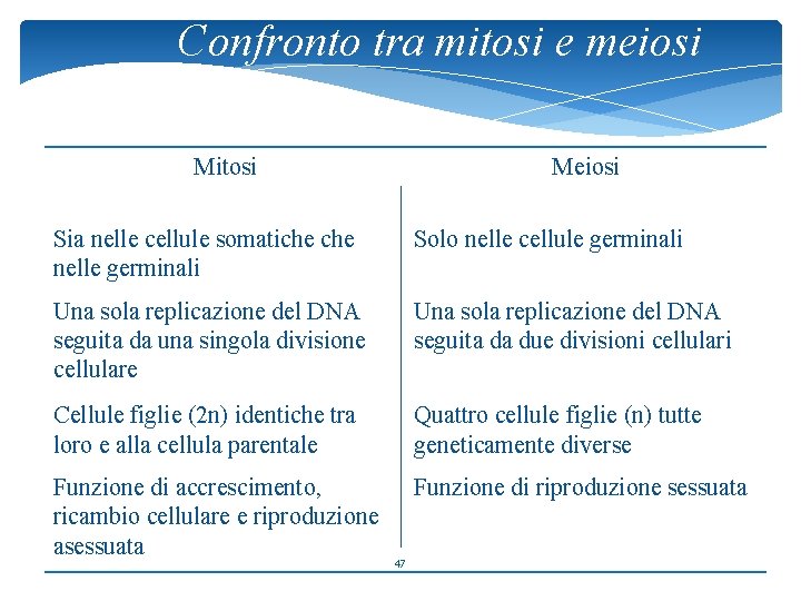 Confronto tra mitosi e meiosi Mitosi Meiosi Sia nelle cellule somatiche nelle germinali Solo