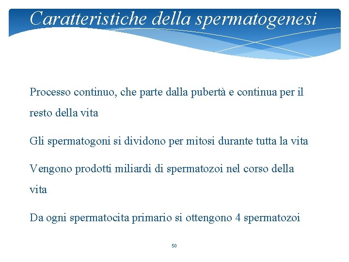 Caratteristiche della spermatogenesi Processo continuo, che parte dalla pubertà e continua per il resto