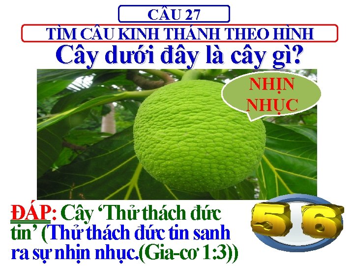 C U 27 TÌM C U KINH THÁNH THEO HÌNH Cây dưới đây là