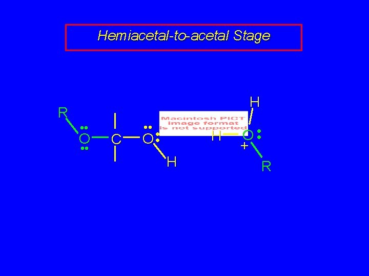 Hemiacetal-to-acetal Stage R H • • O • • C • • O •