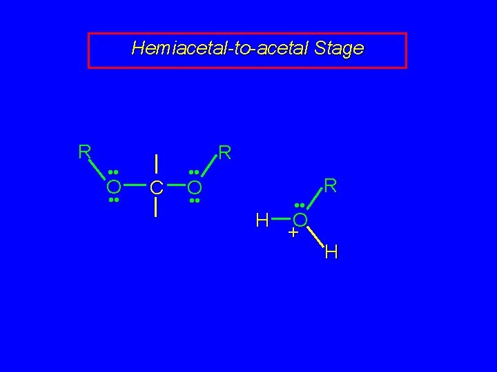 Hemiacetal-to-acetal Stage R • • O • • C • • R O •