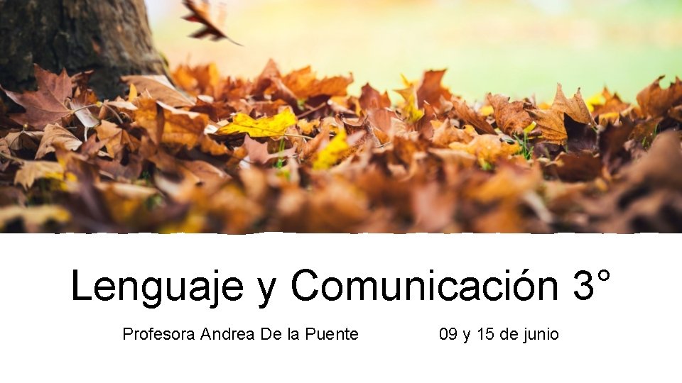 Lenguaje y Comunicación 3° Profesora Andrea De la Puente 09 y 15 de junio