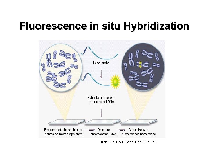 Fluorescence in situ Hybridization Korf B, N Engl J Med 1995; 332: 1219 