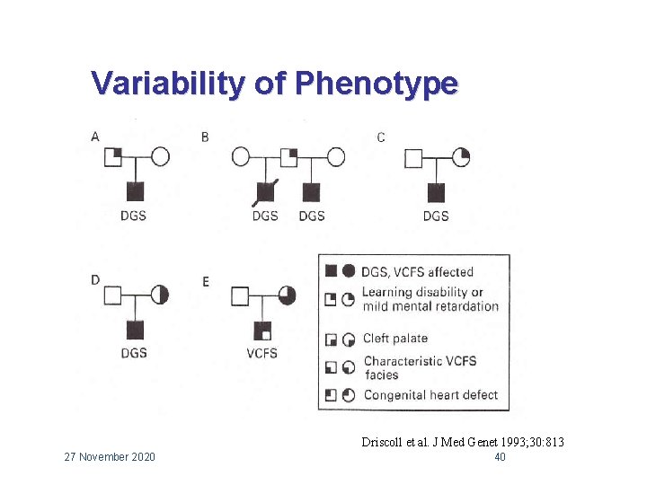 Variability of Phenotype Driscoll et al. J Med Genet 1993; 30: 813 27 November