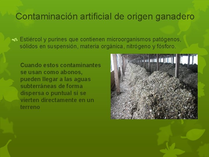 Contaminación artificial de origen ganadero Estiércol y purines que contienen microorganismos patógenos, sólidos en