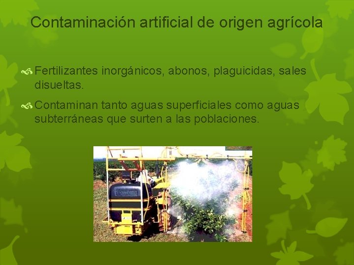 Contaminación artificial de origen agrícola Fertilizantes inorgánicos, abonos, plaguicidas, sales disueltas. Contaminan tanto aguas