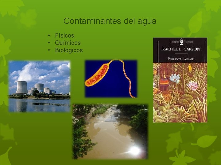 Contaminantes del agua • Físicos • Químicos • Biológicos 