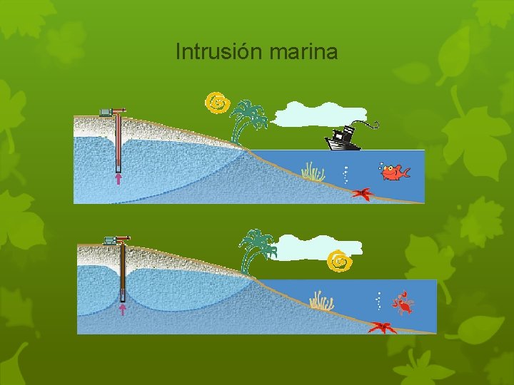 Intrusión marina 