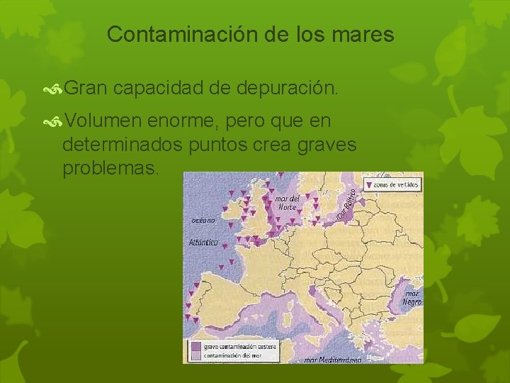 Contaminación de los mares Gran capacidad de depuración. Volumen enorme, pero que en determinados