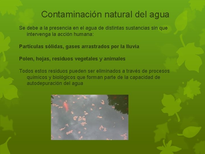 Contaminación natural del agua Se debe a la presencia en el agua de distintas