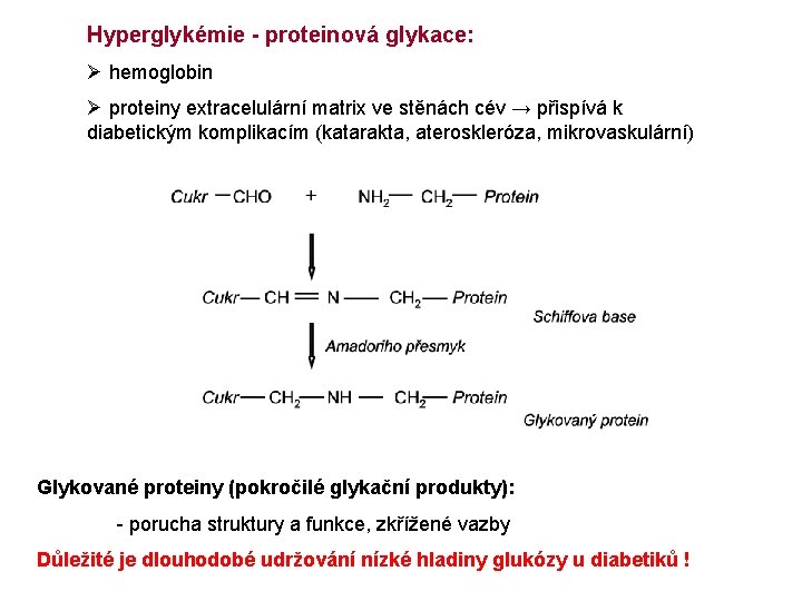 Hyperglykémie - proteinová glykace: Ø hemoglobin Ø proteiny extracelulární matrix ve stěnách cév →