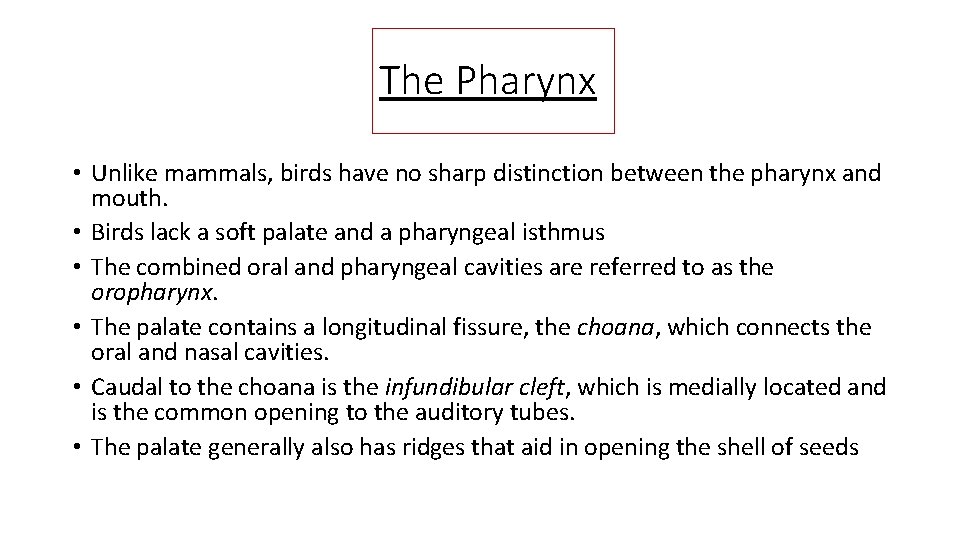 The Pharynx • Unlike mammals, birds have no sharp distinction between the pharynx and