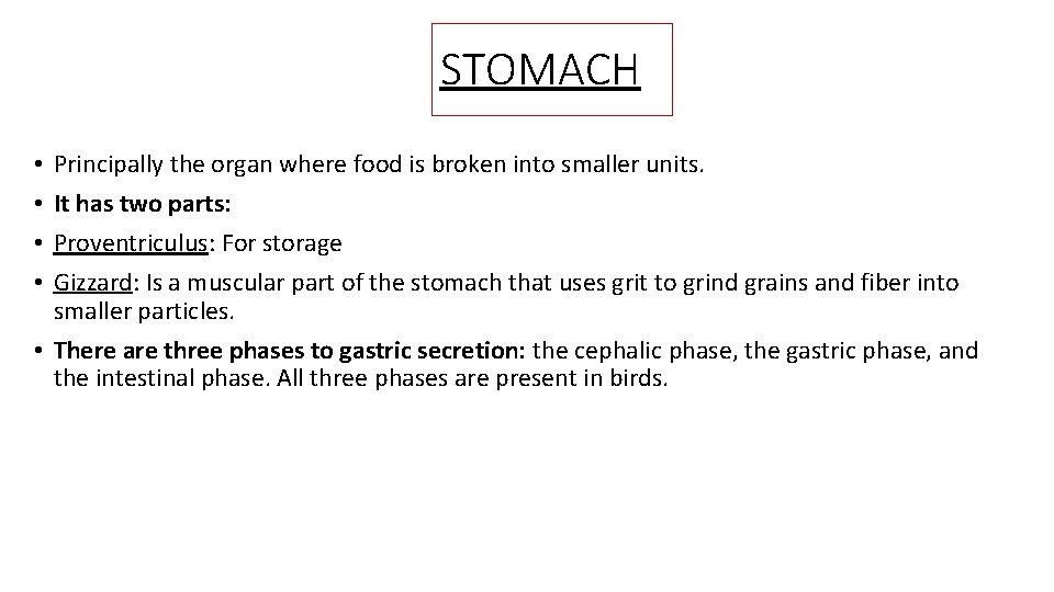 STOMACH Principally the organ where food is broken into smaller units. It has two