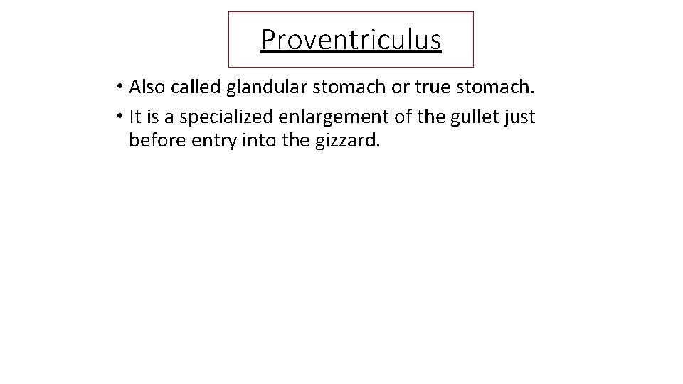 Proventriculus • Also called glandular stomach or true stomach. • It is a specialized