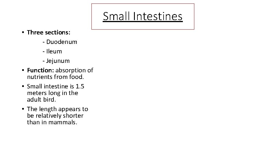 Small Intestines • Three sections: - Duodenum - Ileum - Jejunum • Function: absorption