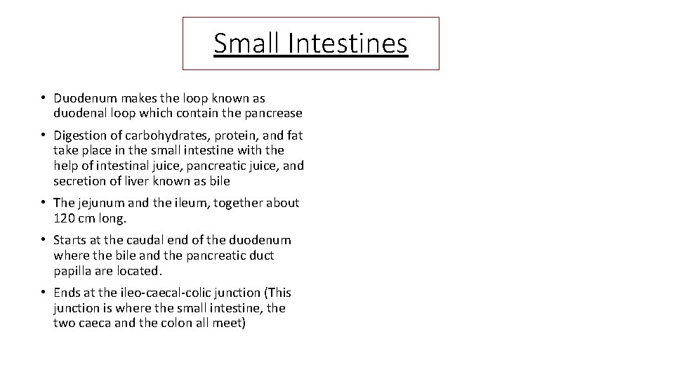 Small Intestines • Duodenum makes the loop known as duodenal loop which contain the