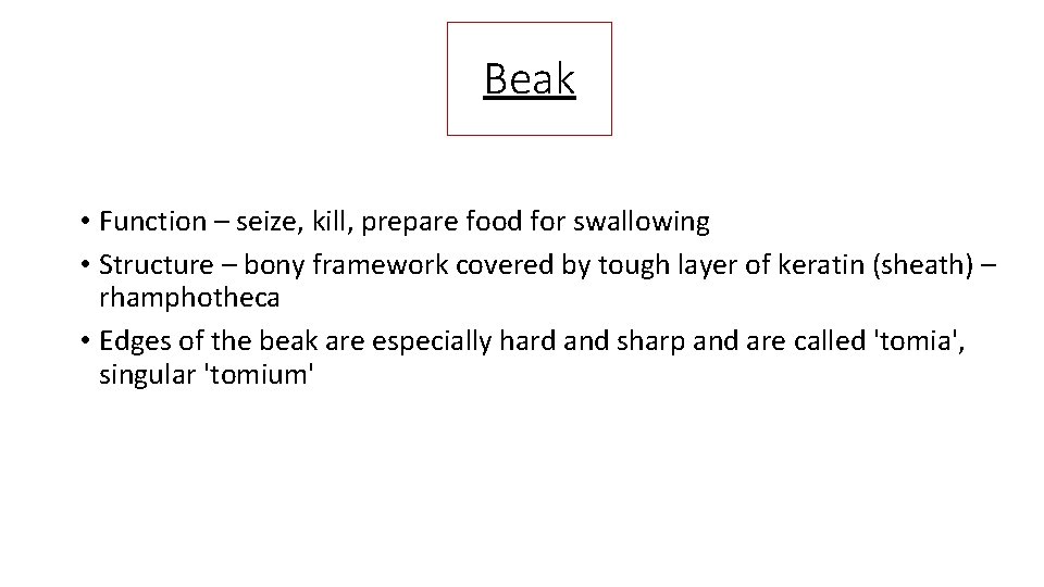 Beak • Function – seize, kill, prepare food for swallowing • Structure – bony