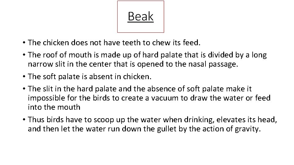  • The chicken does not have teeth to chew its feed. • The